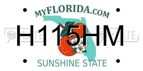 H115HM Florida License Plate