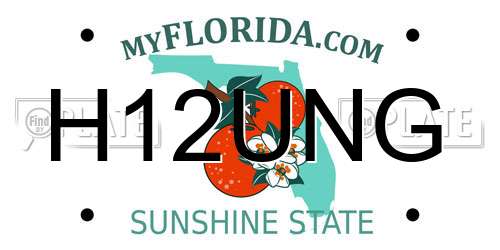 H12UNG Florida License Plate