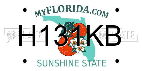 H131KB Florida License Plate