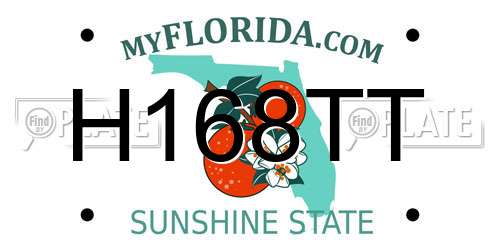 H168TT Florida License Plate