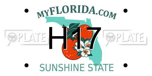 H17 Florida License Plate