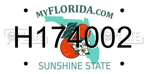 H174002 Florida License Plate