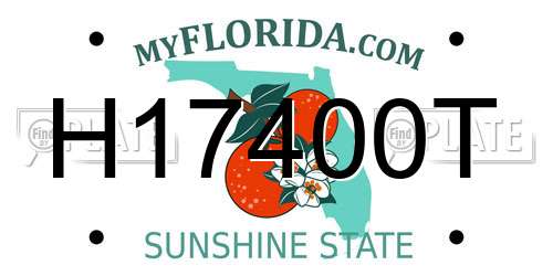 H17400T Florida License Plate