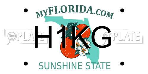 H1KG Florida License Plate