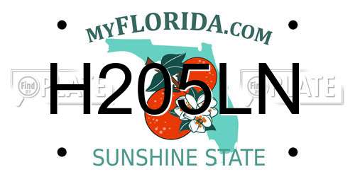 H205LN Florida License Plate