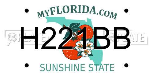 H221BB Florida License Plate