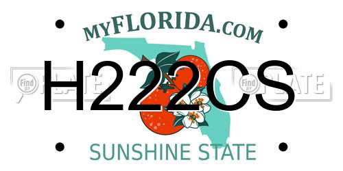 H222CS Florida License Plate