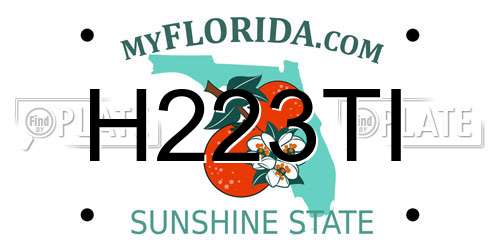 H223TI Florida License Plate