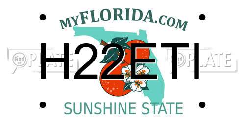 H22ETI Florida License Plate