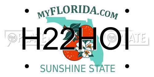 H22HOI Florida License Plate