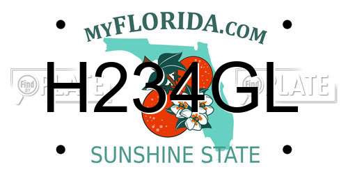 H234GL Florida License Plate