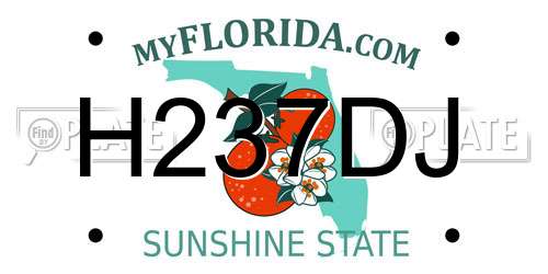 H237DJ Florida License Plate