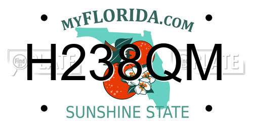 H238QM Florida License Plate