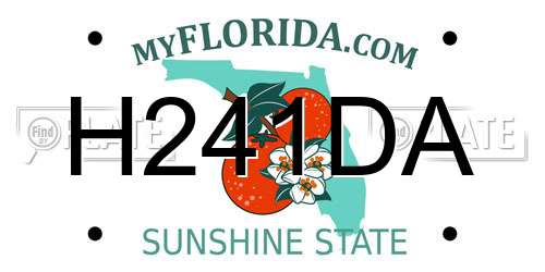 H241DA Florida License Plate