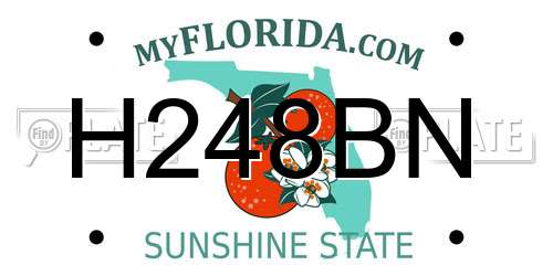 H248BN Florida License Plate