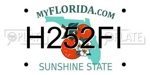 H252FI Florida License Plate