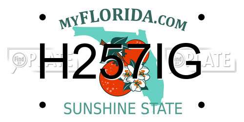 H257IG Florida License Plate