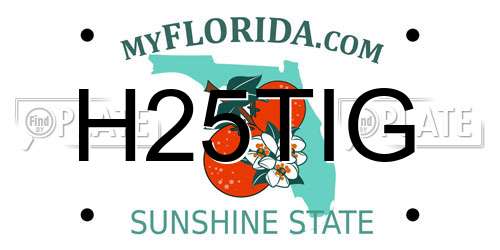 H25TIG Florida License Plate