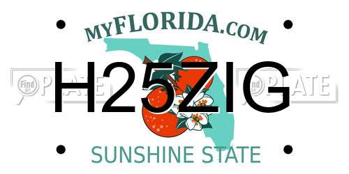 H25ZIG Florida License Plate