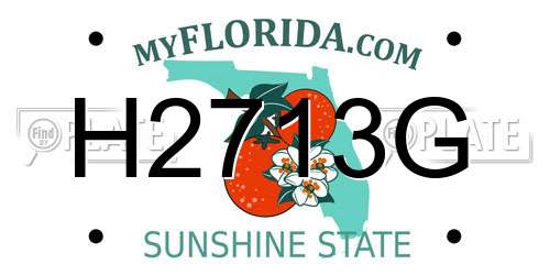 H2713G Florida License Plate