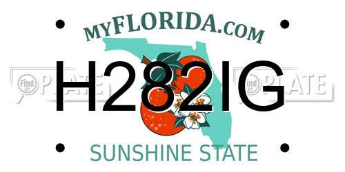 H282IG Florida License Plate