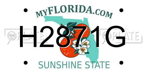 H2871G Florida License Plate