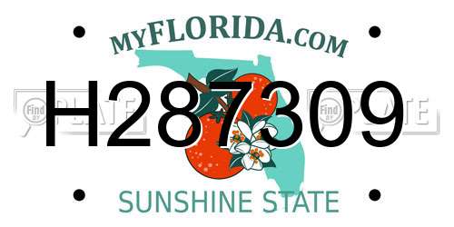 H287309 Florida License Plate