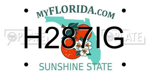 H287IG Florida License Plate