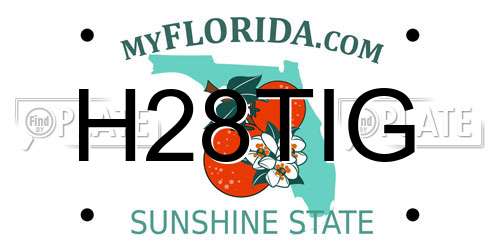 H28TIG Florida License Plate