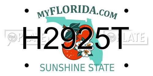 H2925T Florida License Plate