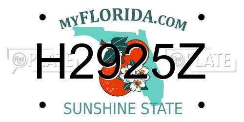 H2925Z Florida License Plate