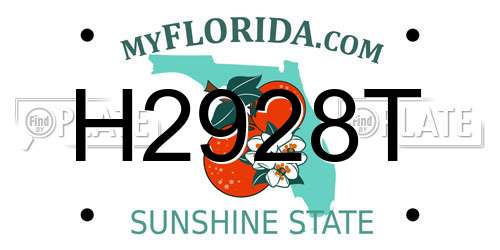 H2928T Florida License Plate