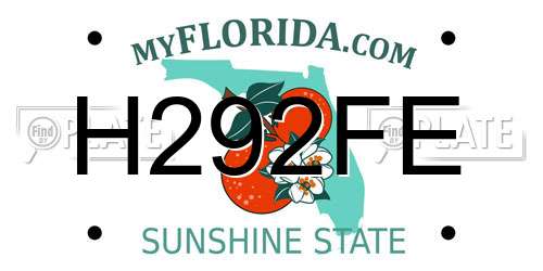 H292FE Florida License Plate