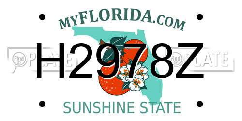 H2978Z Florida License Plate