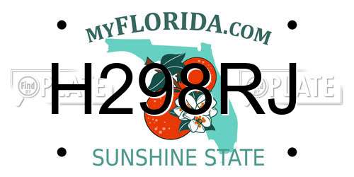 H298RJ Florida License Plate