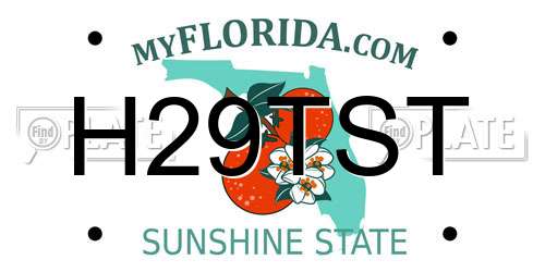 H29TST Florida License Plate