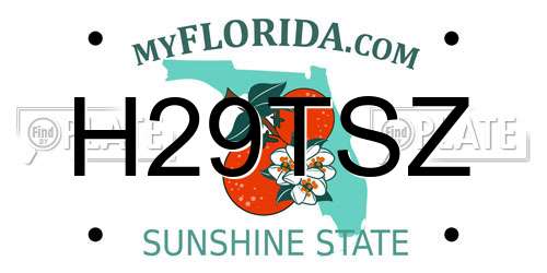 H29TSZ Florida License Plate