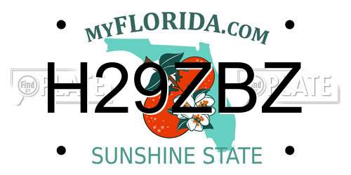 H29ZBZ Florida License Plate