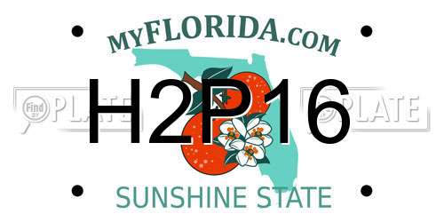 H2P16 Florida License Plate