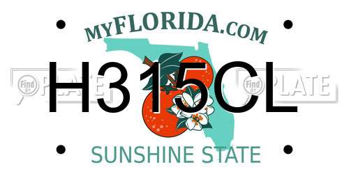 H315CL Florida License Plate