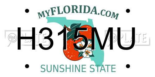H315MU Florida License Plate
