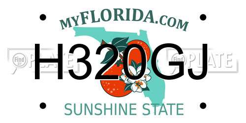 H320GJ Florida License Plate