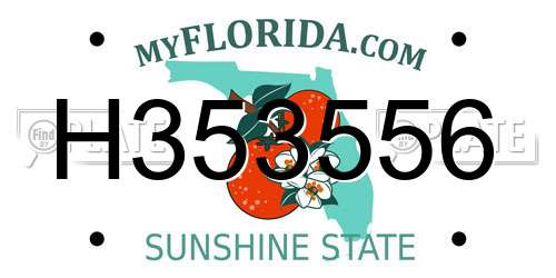 H353556 Florida License Plate