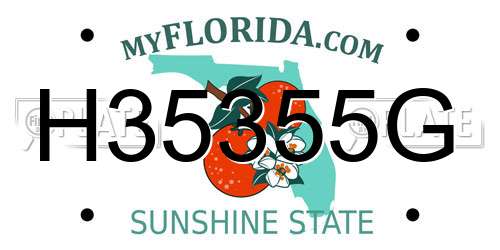 H35355G Florida License Plate