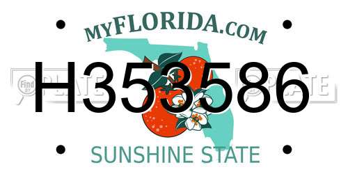 H353586 Florida License Plate
