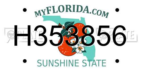 H353856 Florida License Plate