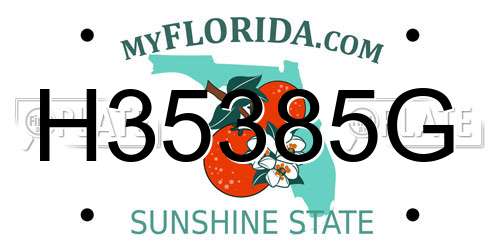 H35385G Florida License Plate
