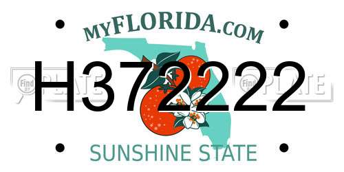 H372222 Florida License Plate