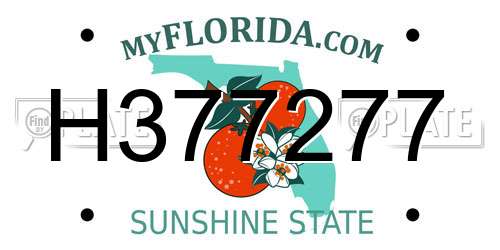H377277 Florida License Plate