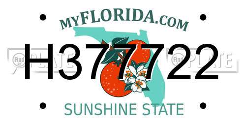 H377722 Florida License Plate